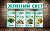 Вывеска и оформление витрин магазина