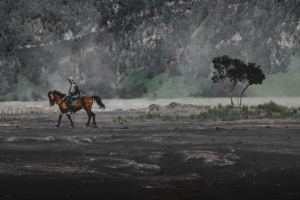 The Dead Horseman || Royalty free music