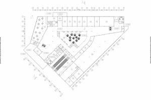 Многофункциональный общественный центр