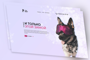 Дизайн лендинга по скиджорингу