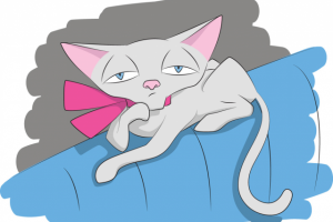 Скучающая кошка