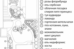 пример дендроплана (минимализм)