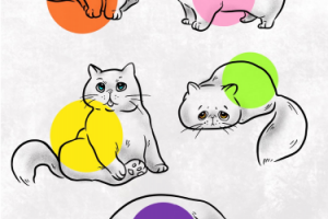 Работа 4078737