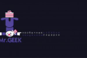Mr.GEEK