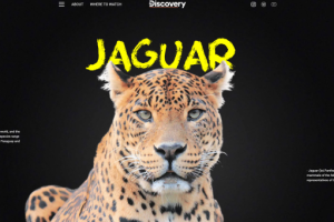 Ягуар