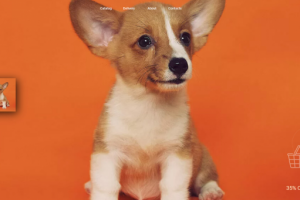 Корма для домашних животных