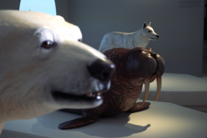 Видеоролик о выставке