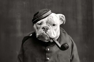 Серия промо-страниц для IPT-consierge - Германия