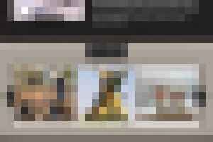 Дрессировка собак