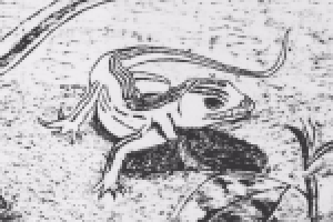 Работа 2854733