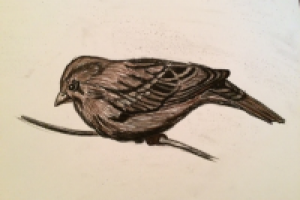 Работа 2854731