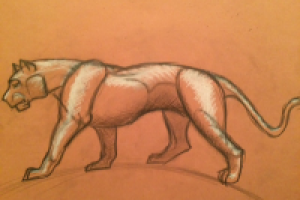 Работа 2854716