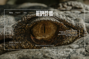 Визитка сайта организации по охране дикой природы