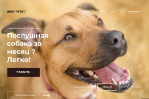 Работа 4052109