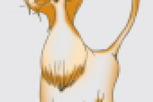 Рисунки для образцов печати на дизайнерских бумагах. Для Дубль В