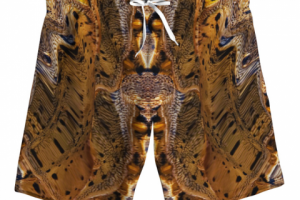 шорты мужские 24