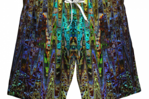 шорты мужские 23