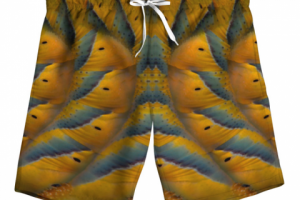 шорты мужские 12