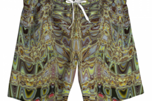 шорты мужские 4