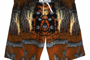 шорты мужские 1