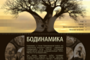 Сайт "Бодинамика" - 1-я страница - вариант 3