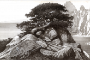 "Новый свет" Крым