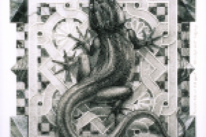 Тень огня и воды