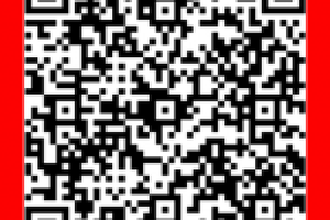 Конкурсная работа