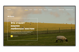 Farm | Экскурсии на ферму
