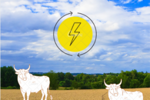 Вирусный маркетинг, реклама-редбул(ребус)