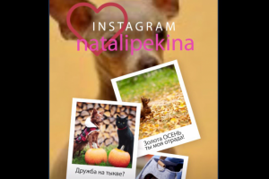 Сторис с любимцем семьи