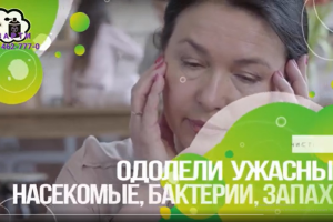 Реклама услуги дезинфицирующей компании "ДезАрти"