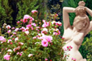 СМиК (садово-парковая архитектура)