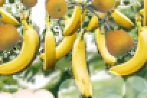 Деталь новогоднего проекта. Гирлянда бананов