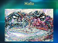 img2562174.png