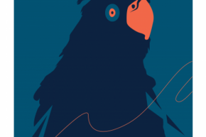 Minimal parrot cover design