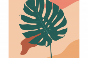 Design for packaging design, social media post, cover, banner, W