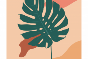 Design for packaging design, social media post, cover, banner, W