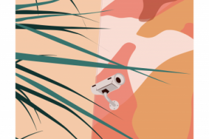 Botanical abstract wall arts vector collection.Design for packag