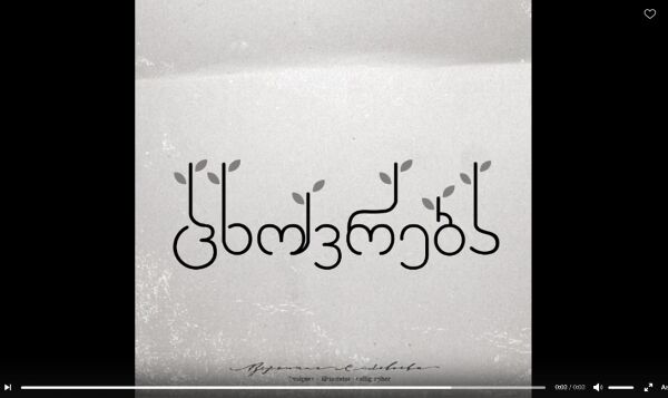 img3453946.png