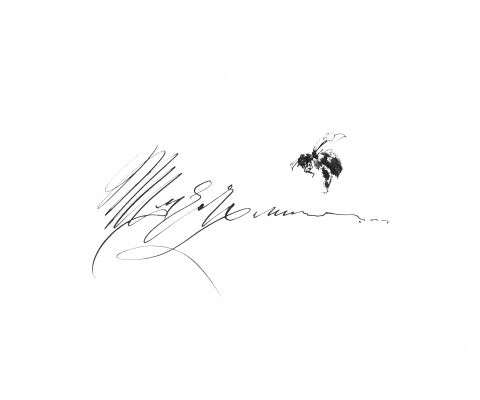img3482507.png
