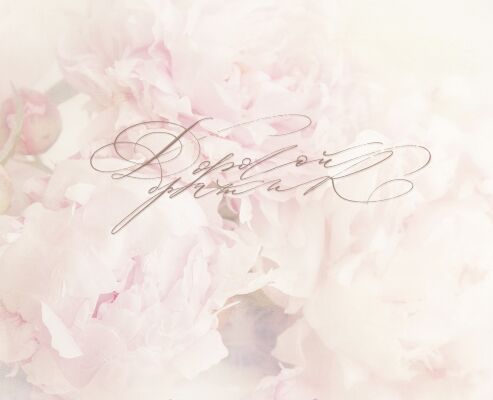 img3447353.png