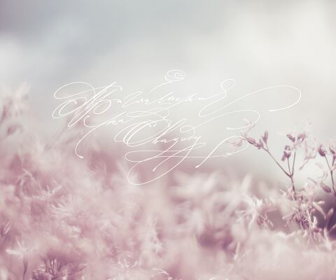 img3447350.png