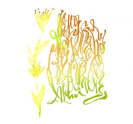 img3420773.png