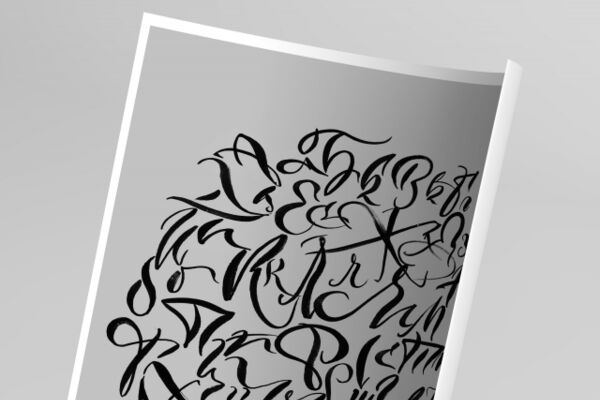 img3329066.png