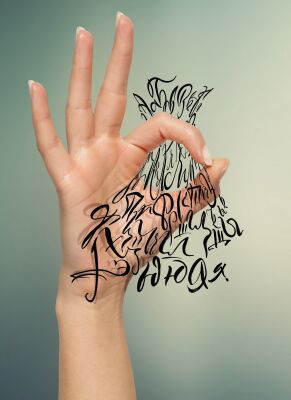 img3303547.png