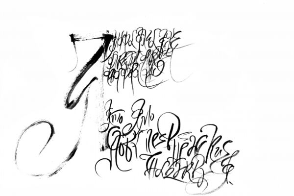 img3295985.png