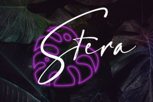 Брендбук салона Stera