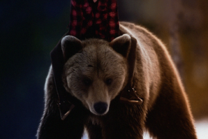 Художественная обработка фотографии