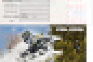 Создание форм регистрации в акциях, соревнованиях и . т.д.